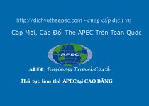 Dịch vụ làm thẻ APec tại Cao Bằng